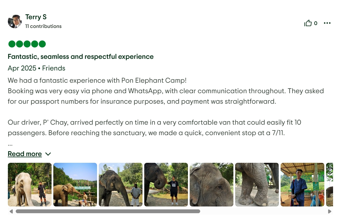 pon elephpant chiangmai thailand reviews